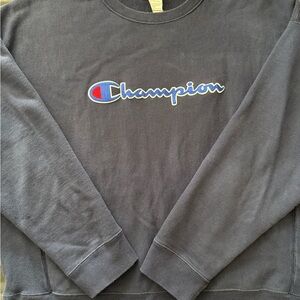 Champion Men's Navy Sweater